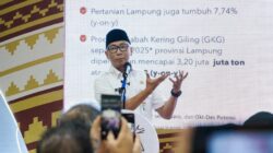 Soroti Ekonomi yang Jalan Sendiri-sendiri, Gubernur Mirza Ajak Pengusaha Berkolaborasi