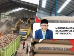 Ironi Singkong di Bumi Ruwa Jurai: Mengapa Impor Tapioka Harus Direm?