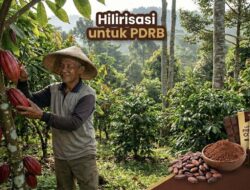 Agroforestri Lampung: Strategi Hilirisasi Kakao dan Komoditas Unggulan untuk Peningkatan PDRB