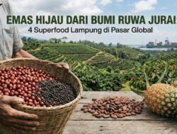 Emas Hijau dari Bumi Ruwa Jurai: Menakar Taji 4 Superfood Lampung di Pasar Global