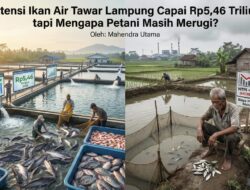 Potensi Ikan Air Tawar Lampung Capai Rp5,46 Triliun, tapi Mengapa Petani Masih Merugi?