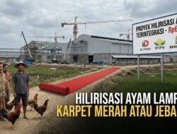 Mega Proyek Hilirisasi Ayam Lampung: Karpet Merah atau Jebakan Korporasi?