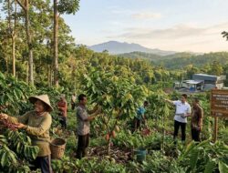 Emas Hijau Lampung: Mengubah Wajah Hutan Jadi Mesin Ekonomi Rakyat