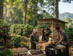 Agroforestri: Membangun Ekosistem Agroindustri dari Hutan untuk Rakyat