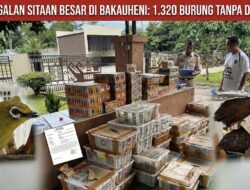 Terjaring di Bakauheni, 1.320 Burung Gagal Dikirim ke Depok hingga Magelang