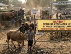 Darurat Kesehatan Hewan di Pasar Tradisional Lampung