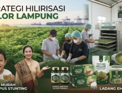 Strategi Hilirisasi Kelor Lampung: Senjata Murah Penghapus Stunting dan Ladang Emas Baru