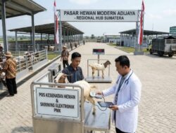 Seruan untuk Gubernur: Wujudkan Pasar Modern di Adijaya