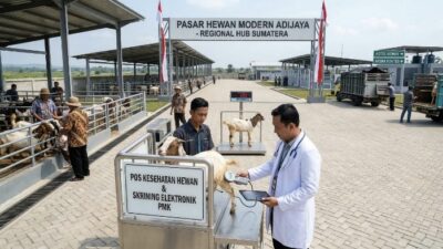 Seruan untuk Gubernur: Wujudkan Pasar Modern di Adijaya