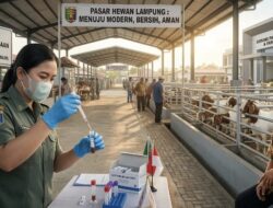 Apresiasi untuk Para Pejuang Pasar Hewan Modern Lampung