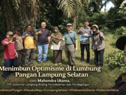 Menimbun Optimisme di Lumbung Pangan Lampung Selatan