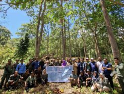 Sukses Sulap Hutan Jadi Sumber Cuan Tanpa Ditebang, Kalteng Berguru ke Pesawaran
