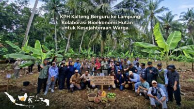 Jauh-Jauh dari Kalimantan, 25 Pengelola Hutan Cari 'Resep Rahasia' di Lampung