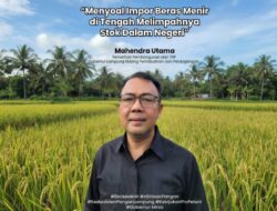 Menyoal Impor Beras Menir di Tengah Melimpahnya Stok Dalam Negeri