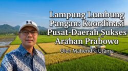 Lampung Lumbung Pangan: Koordinasi Pusat-Daerah Sukses Arahan Prabowo