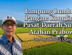 Lampung Lumbung Pangan: Koordinasi Pusat-Daerah Sukses Arahan Prabowo