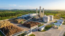 Bukan Fiksi: Pertamina dan Toyota Siap Bikin ‘Bensin’ dari Singkong di Lampung