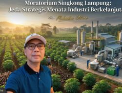 Moratorium Singkong Lampung: Jeda Strategis Menata Industri Berkelanjutan
