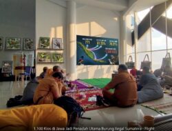 Lolos via Lampung, 1.100 Kios di Jawa Tetap Jadi Penadah Utama Burung Ilegal Sumatera