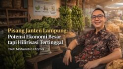 Pisang Janten Lampung: Potensi Ekonomi Besar tapi Hilirisasi Tertinggal