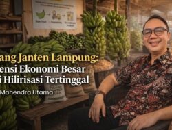 Pisang Janten Lampung: Potensi Ekonomi Besar tapi Hilirisasi Tertinggal