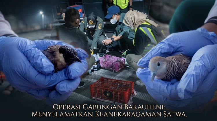 Modus Lawas Berulang! Penyelundupan Satwa Lewat Bus Kembali Terjadi di Bakauheni