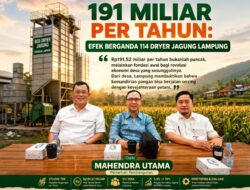 191 Miliar per Tahun: Efek Berganda 114 Dryer Jagung Lampung