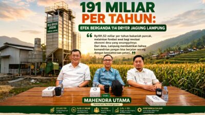 191 Miliar per Tahun: Efek Berganda 114 Dryer Jagung Lampung