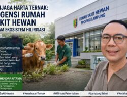 Menjaga Harta Ternak: Urgensi Rumah Sakit Hewan dalam Ekosistem Hilirisasi