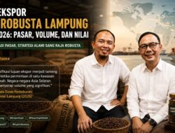 Peta Ekspor Kopi Robusta Lampung 2021-2026: Pasar, Volume, dan Nilai