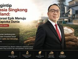 Mengintip Rahasia Singkong Thailand: Kolaborasi Epik Menuju Raja Tapioka Dunia