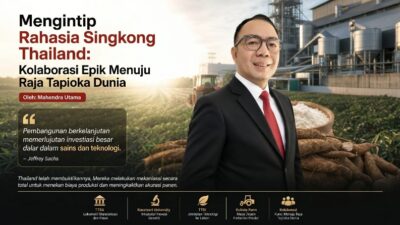 Mengintip Rahasia Singkong Thailand: Kolaborasi Epik Menuju Raja Tapioka Dunia