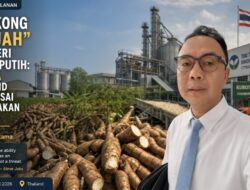 Singkong “Gajah” di Negeri Gajah Putih: Rahasia Thailand Menguasai Meja Makan Dunia