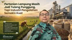 Pertanian Lampung Masih Jadi Tulang Punggung, Tapi Industri Pengolahan Semakin Kuat