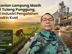 Pertanian Lampung Masih Jadi Tulang Punggung, Tapi Industri Pengolahan Semakin Kuat