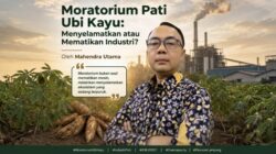 Moratorium Pati Ubi Kayu: Menyelamatkan atau Mematikan Industri?