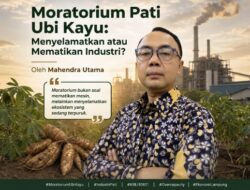Moratorium Pati Ubi Kayu: Menyelamatkan atau Mematikan Industri?