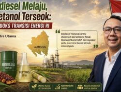 Biodiesel Melaju, Bioetanol Terseok: Paradoks Transisi Energi RI