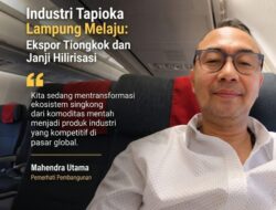 Industri Tapioka Lampung Melaju: Ekspor Tiongkok dan Janji Hilirisasi 