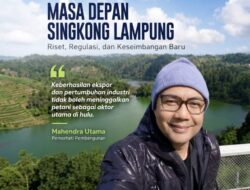 Masa Depan Singkong Lampung: Riset, Regulasi, dan Keseimbangan Baru