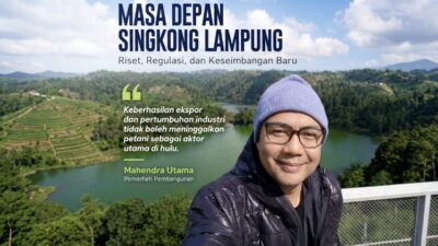 Masa Depan Singkong Lampung: Riset, Regulasi, dan Keseimbangan Baru