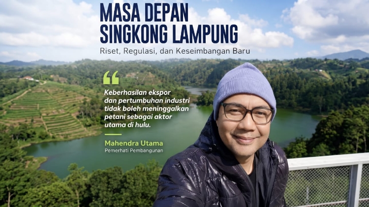 Masa Depan Singkong Lampung: Riset, Regulasi, dan Keseimbangan Baru