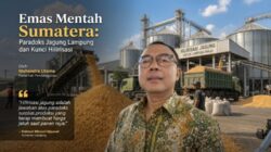 Emas Mentah Sumatera: Paradoks Jagung Lampung dan Kunci Hilirisasi