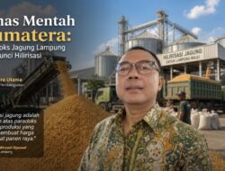Emas Mentah Sumatera: Paradoks Jagung Lampung dan Kunci Hilirisasi