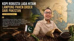 Kopi Robusta Lada Hitam Lampung Panen Order dari Pakistan