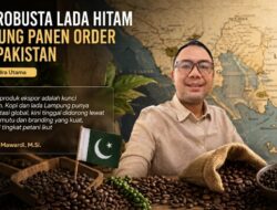 Kopi Robusta Lada Hitam Lampung Panen Order dari Pakistan