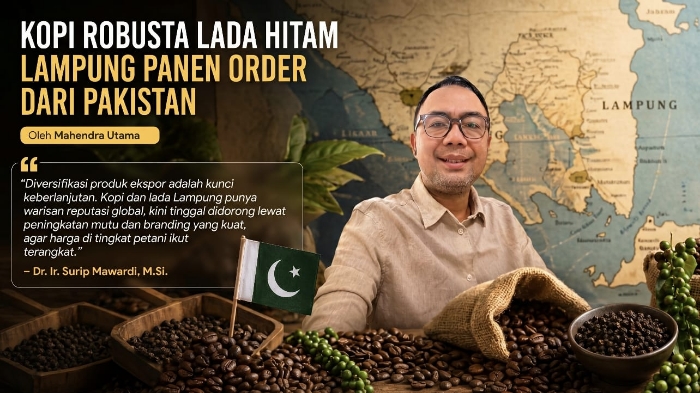 Kopi Robusta Lada Hitam Lampung Panen Order dari Pakistan
