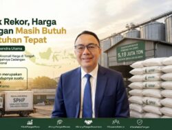 Stok Rekor, Harga Pangan Masih Butuh Sentuhan Tepat