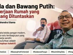 Gula dan Bawang Putih: Pekerjaan Rumah yang Sedang Dituntaskan