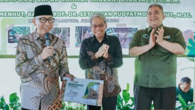 Lahir dari Induk Berkaki Tiga, Dua Anak Harimau Sumatera Bawa Harapan Baru di Lampung